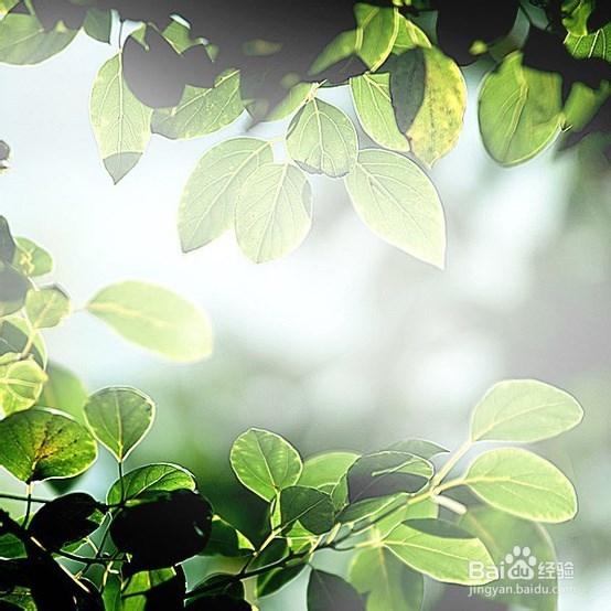 经济信息资源开发与利用：[49]复习总结四十九