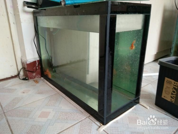 怎样挑选鱼缸