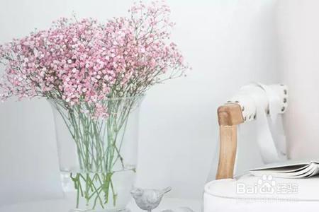 收到一大束满天星怎么保存