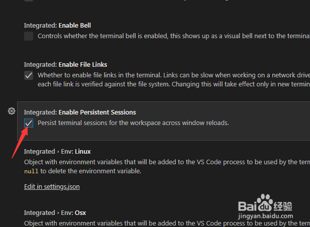 如何启用Visual Studio Code持久会话
