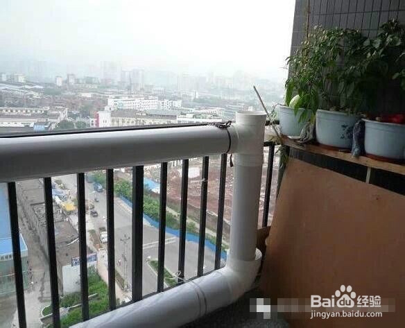 阳台就能种出有机蔬菜咯