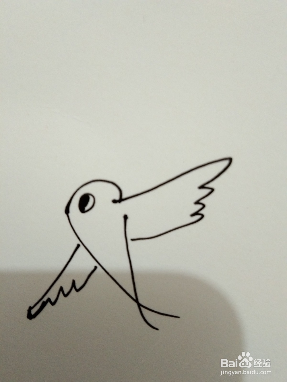 如何画简笔画的飞鸟