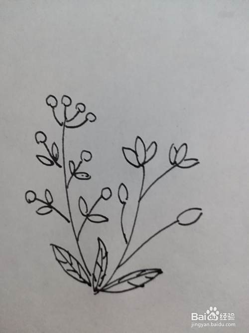 edafb3bcbe2f477073bab76f6f3b3b860321793b.jpg?x-bce-process=image%2Fresize%2Cm_lfit%2Cw_500%2Climit_1%2Fquality%2Cq_80