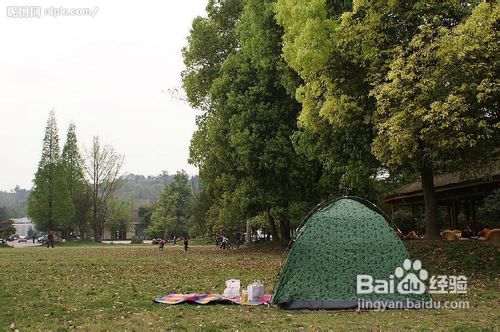 荒野中怎样快速寻找栖息地