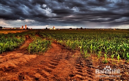 股票行业分析——农业分析上篇