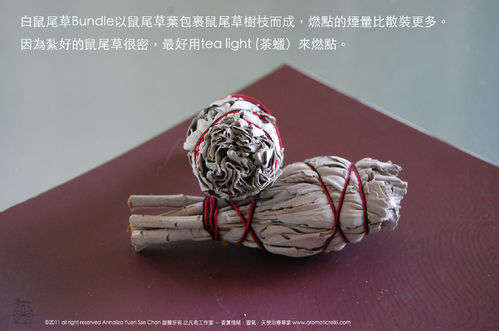 香烟袅袅鼠尾草焚香法