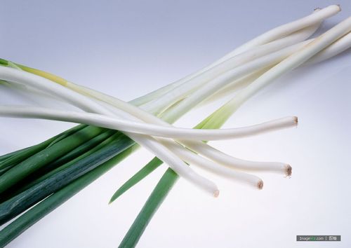 【防蚊虫】如何驱赶并彻底消灭苍蝇