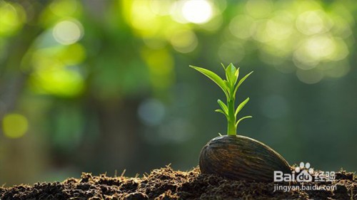 “非法占用耕地罪”法律修改对策建议