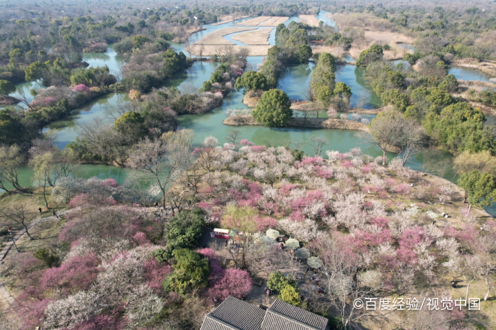 在古代“踏青”又叫？