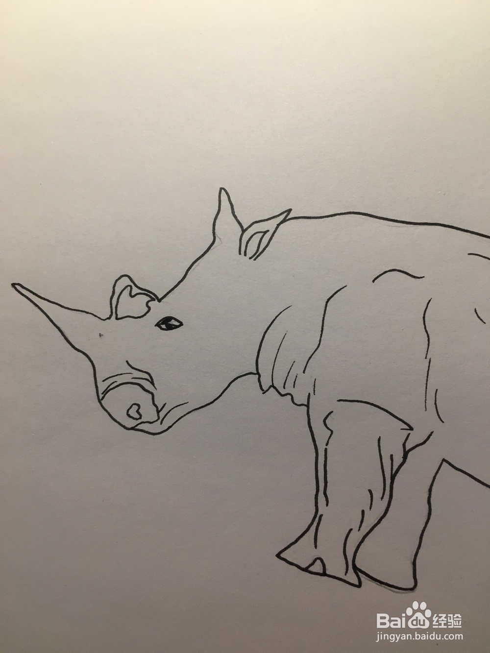 画一只犀牛 犀牛简笔画 幼儿绘画 儿童绘画