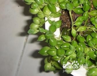 护理服务制度55