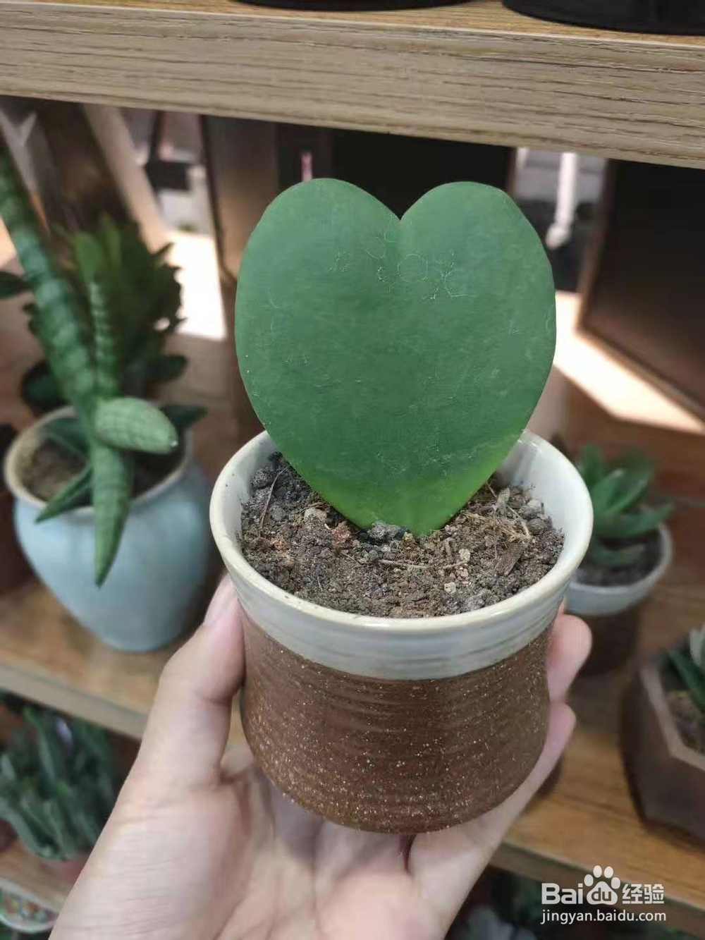 如何获得写小说的灵感