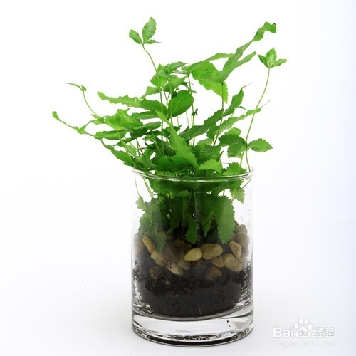 如何减少雾霾的伤害