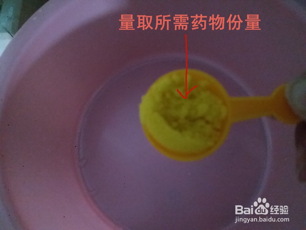 地图鱼出现白斑溃烂应该注意什么怎么治疗