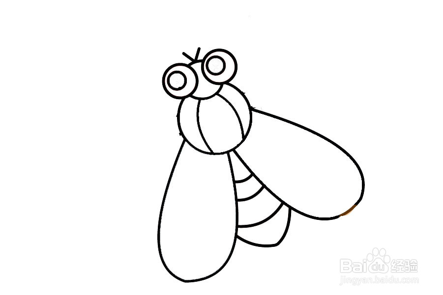 苍蝇简笔画法图片