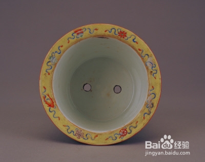 水养吊兰，土养吊兰 ——夏天怎么养