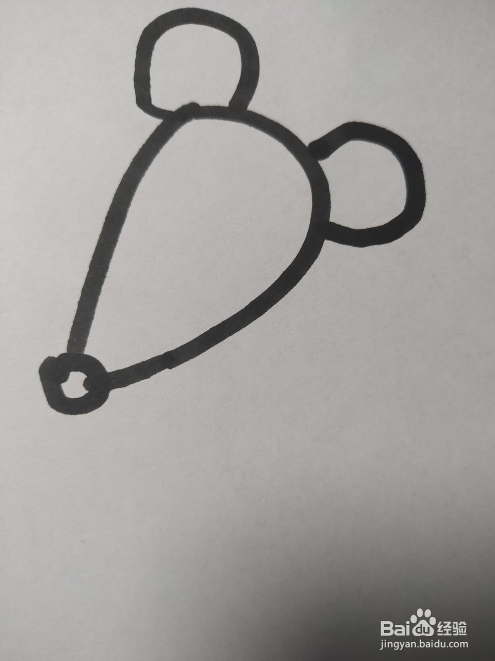 老鼠的简笔画技法17