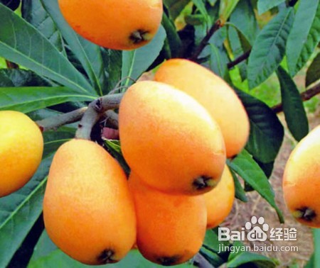 突发性耳鸣怎么根治？