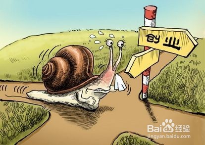 什么项目赚钱?请进