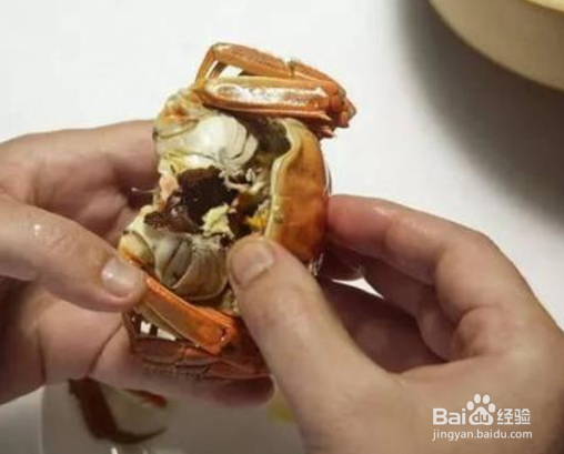 秋季去华东怎么吃大闸蟹
