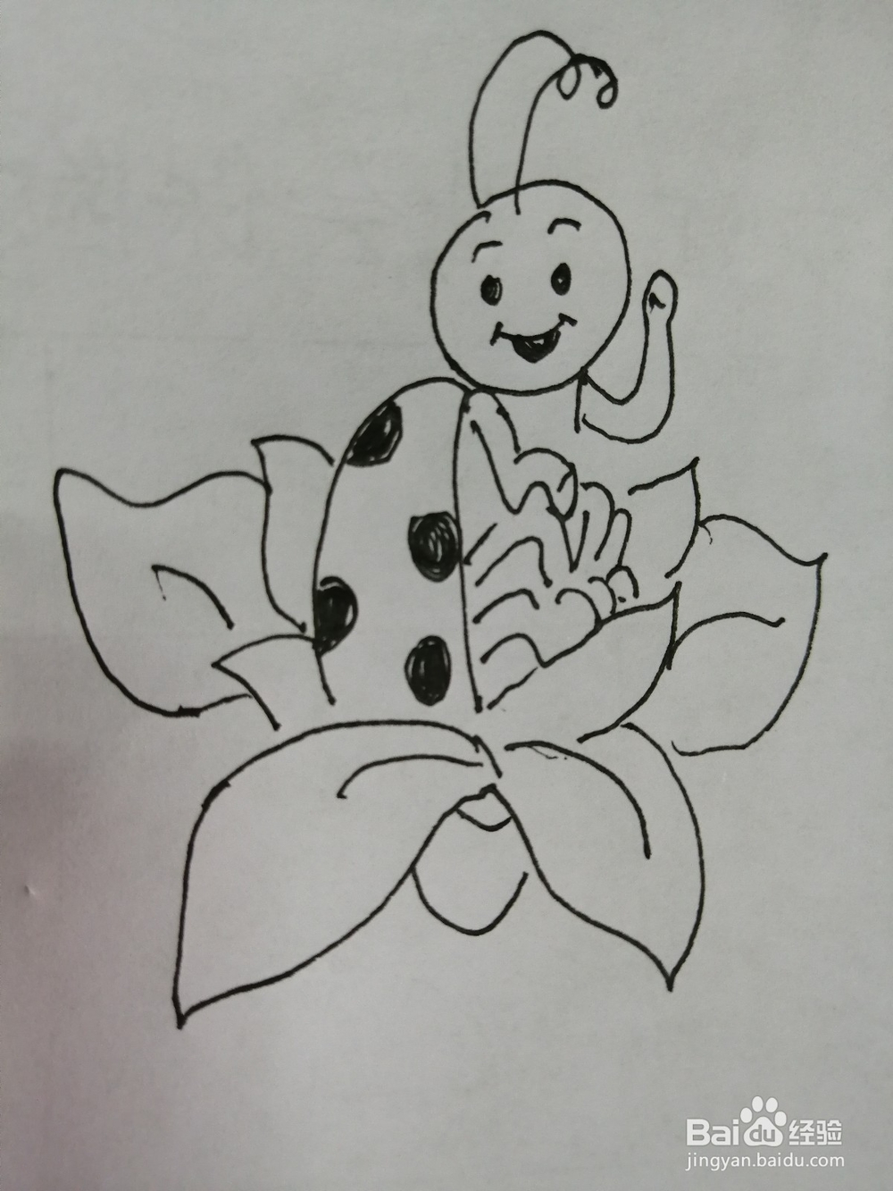<b>可爱的小瓢虫怎么画</b>