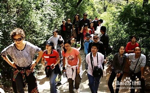 张家界旅游攻略之旅游方式介绍