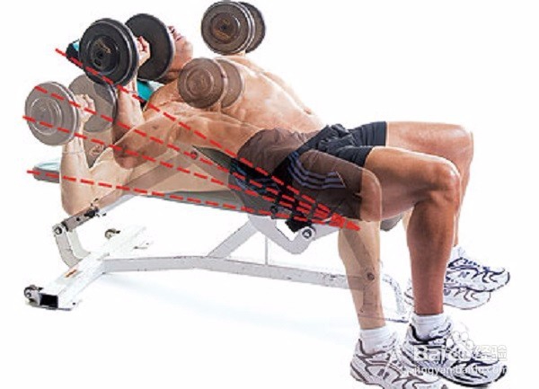 哑铃锻炼胸肌方法视