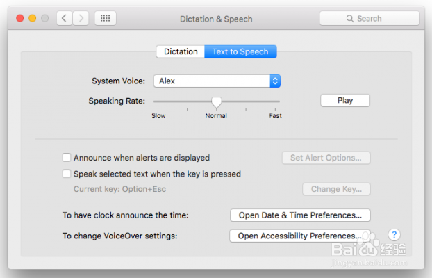 如何让Safari大声读你的网页