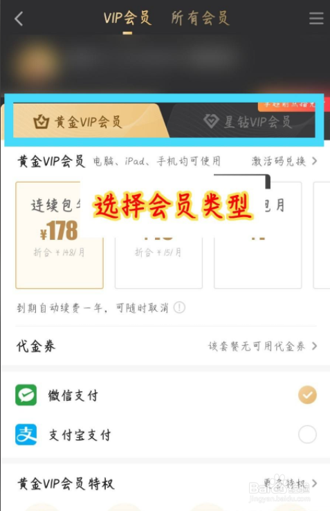 爱奇艺随刻版怎么开通VIP