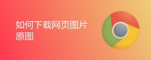 如何下载网页图片原图