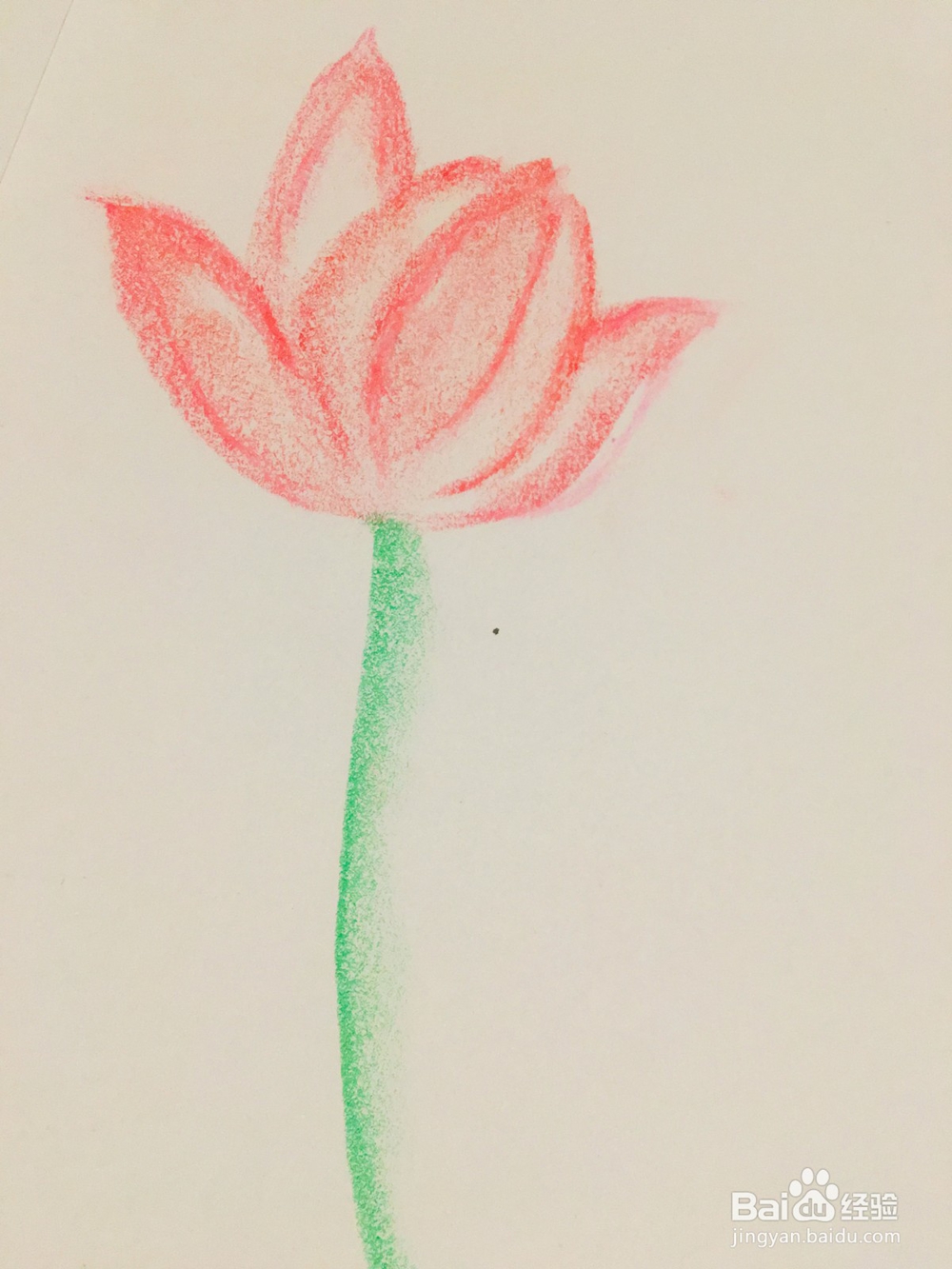 怎样用油画棒画荷花？