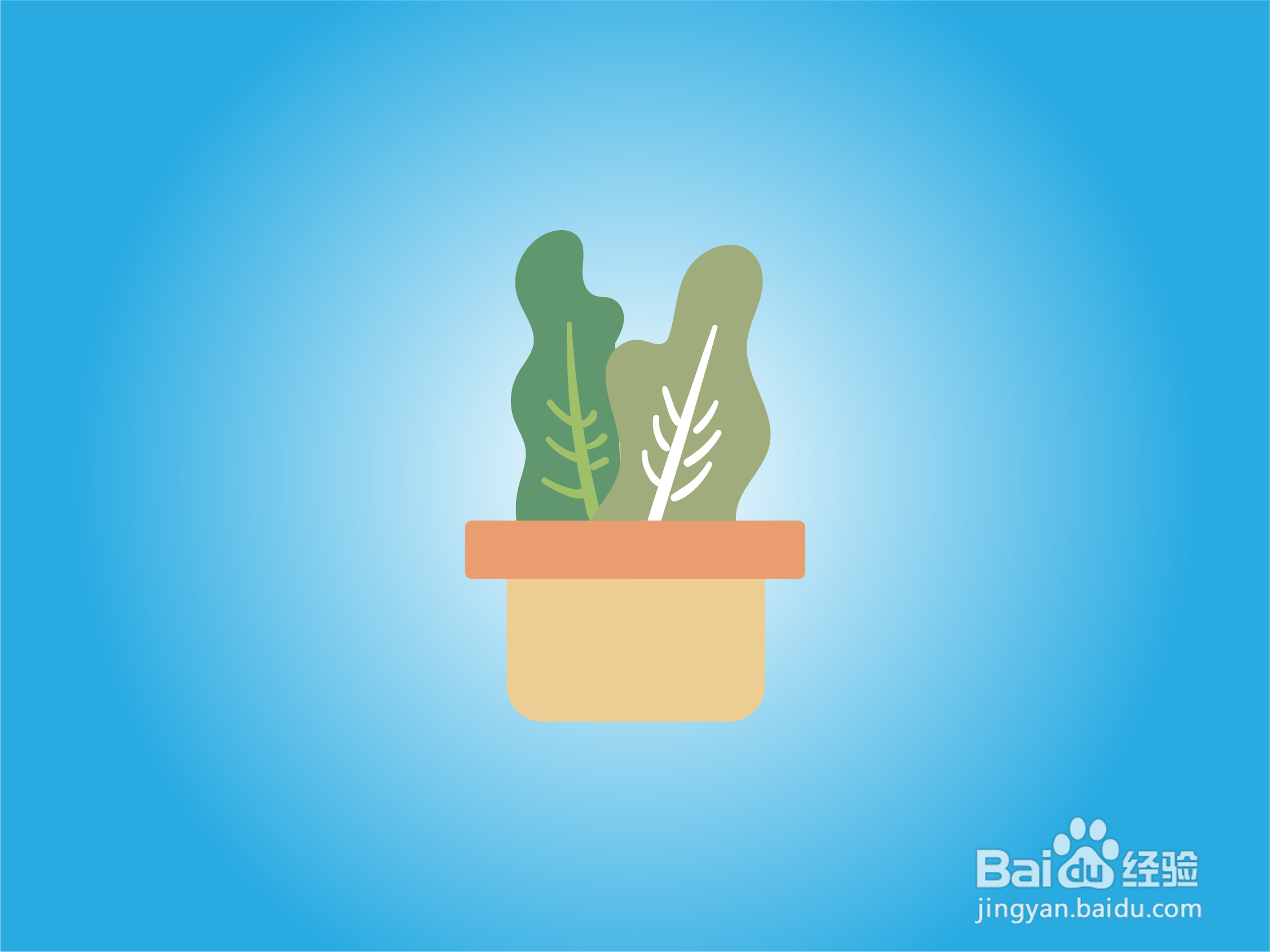 如何画好卡通植物盆栽?