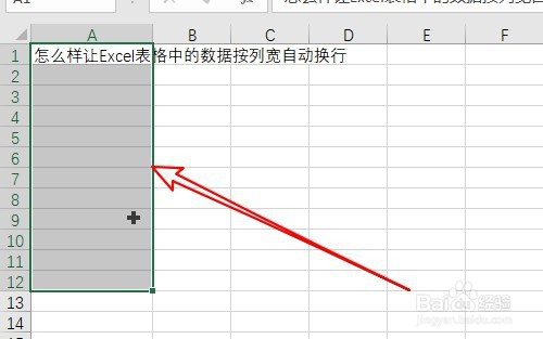 excel2019表格怎么样设置数据按列宽自动换行