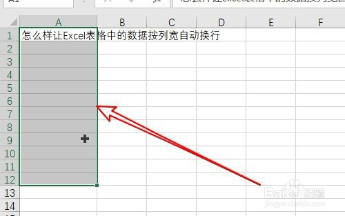 excel2019表格怎麼樣設置數據按列寬自動換行