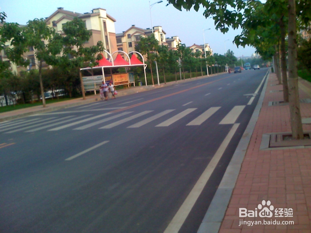 怎样告诉孩子安全过马路--122