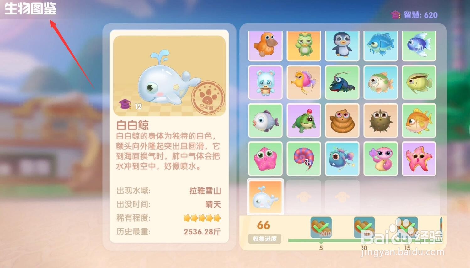 摩尔庄园手游白白鲸在哪钓