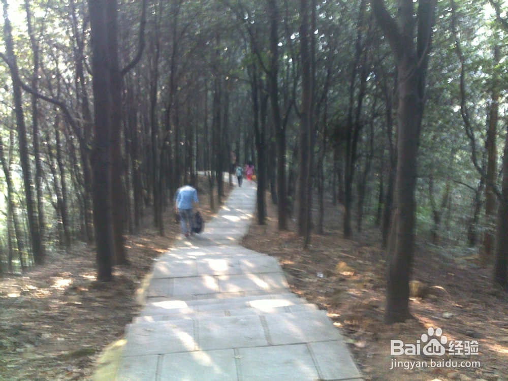 广州火凤线攻略