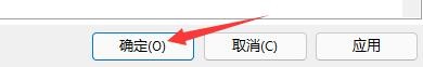 RJ TextED如何设置自动使用引号围住选择内容