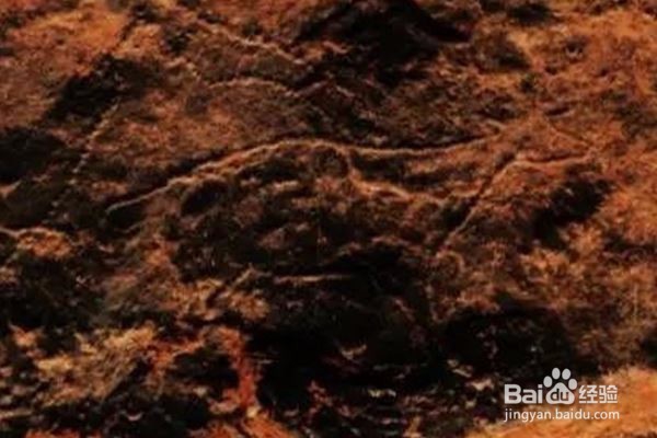 萌芽状态的艺术作品，远古与今日的对话