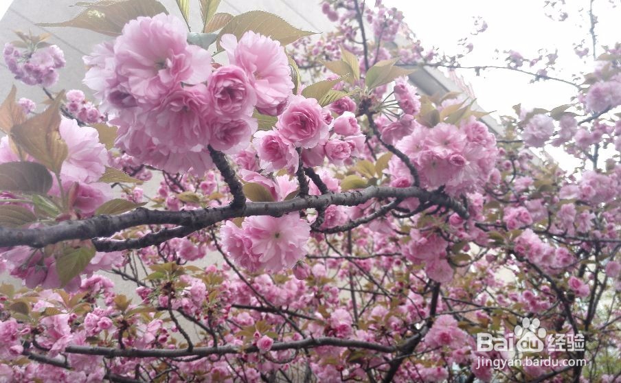 怎样从失恋的阴影中走出来