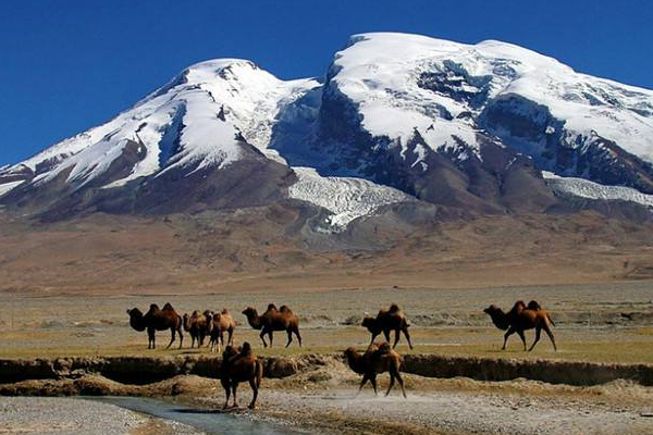 赞美新疆的诗歌，15行以上