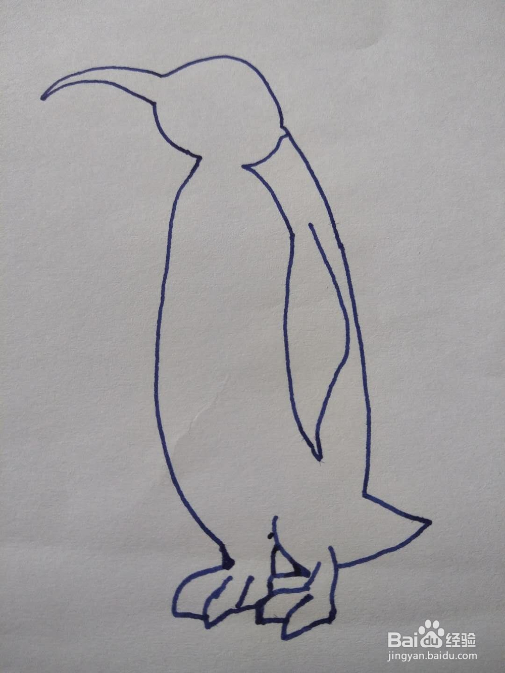 简笔画之企鹅