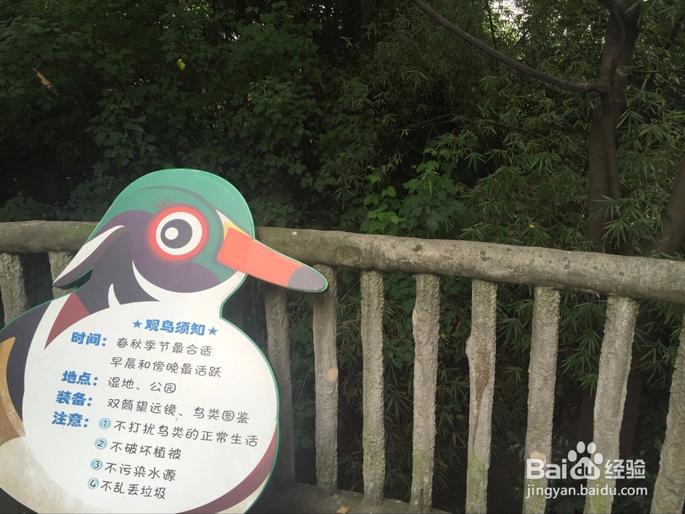 成都动物园内的花鸟林游览攻略