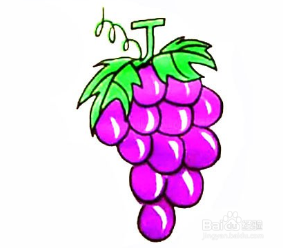 手绘简笔画之葡萄的画法