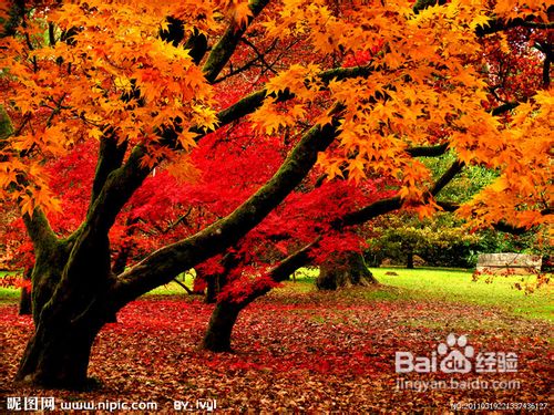 养生宝典[6]厨房里的“好心”食物