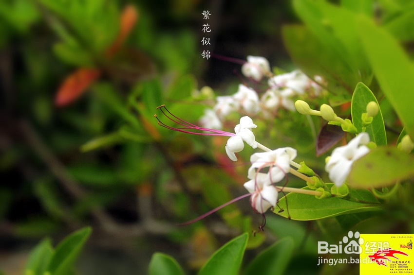 广东最美海岸线之一深圳东西冲穿越露营旅游攻略