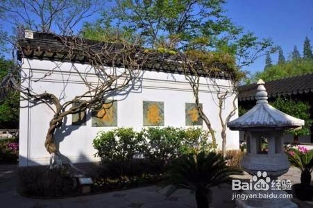 古藤园旅游攻略