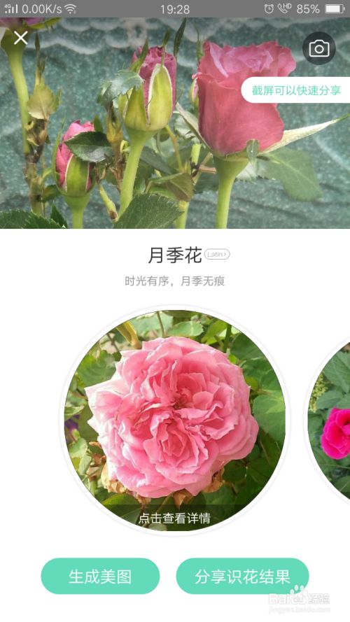 不认识的花又很想知道名字 该怎么办 百度经验