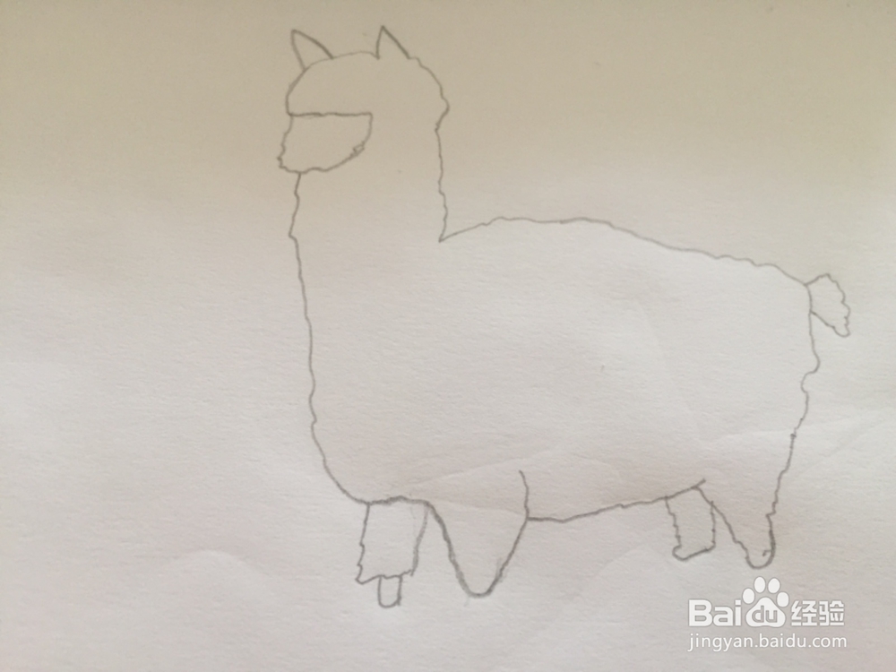 简笔画绘画羊驼