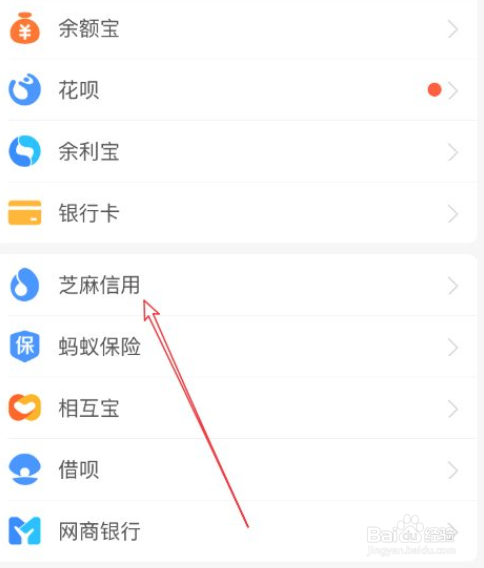 支付宝如何查看我的守约记录